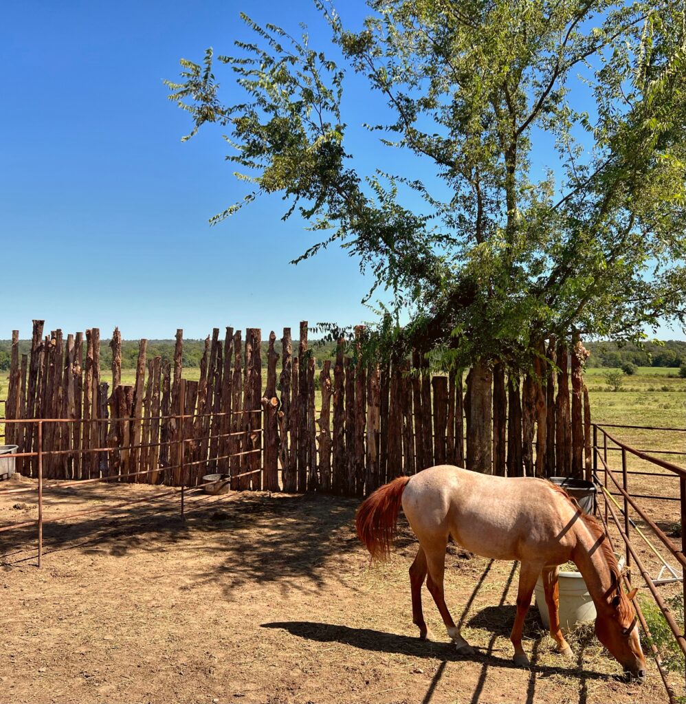 312B3306 D28E 43EE 9B34 732DCEF4D4BC 998x1024