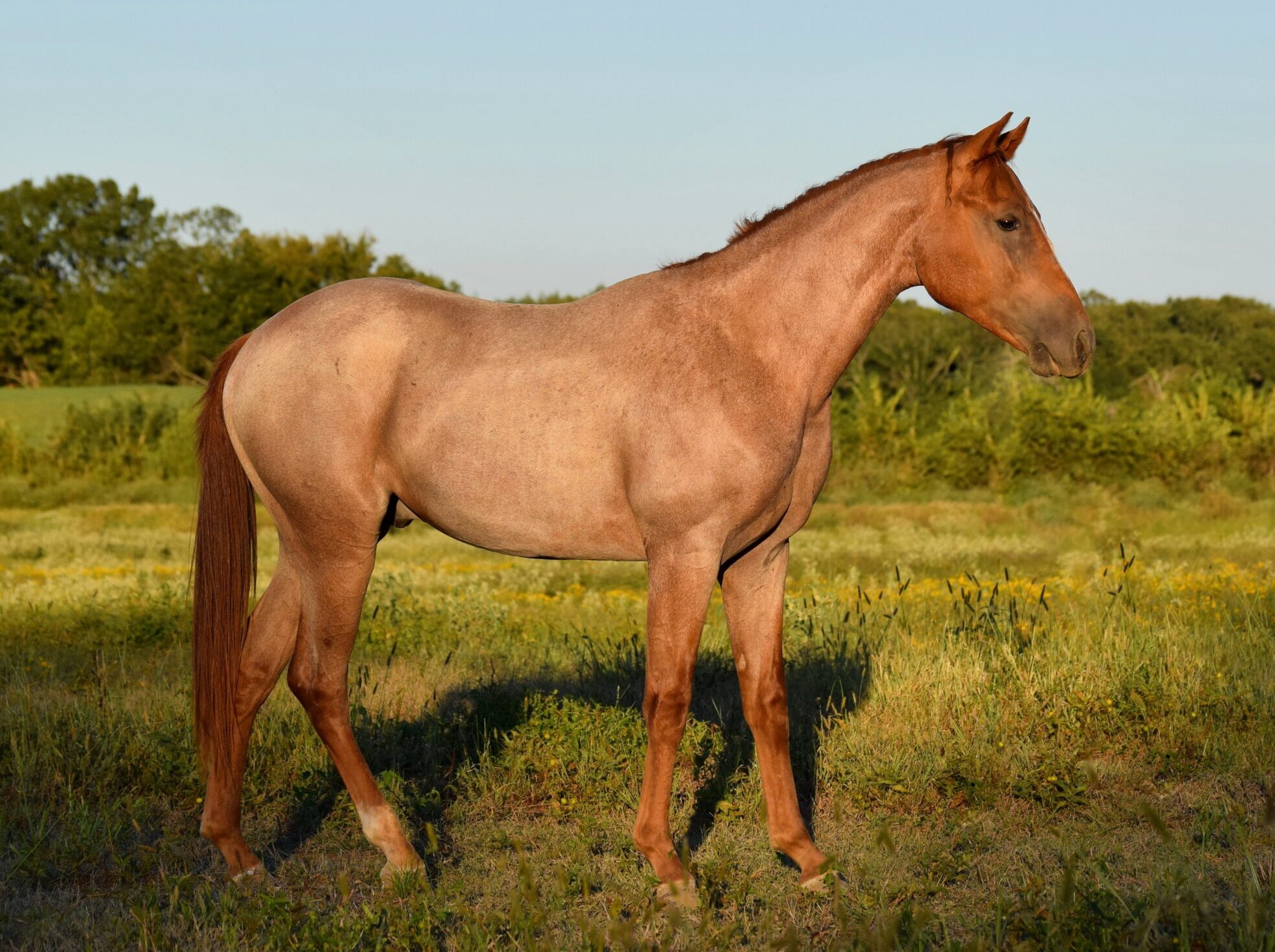 40A697AF 01E0 4954 9A9B 6C4CBAC73A9E Scaled E1764698549659