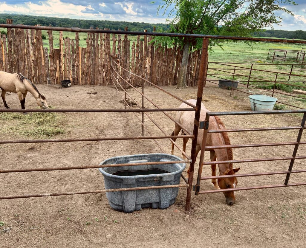 784E662A 269E 4B77 952B F807DCCE74FC 1024x832