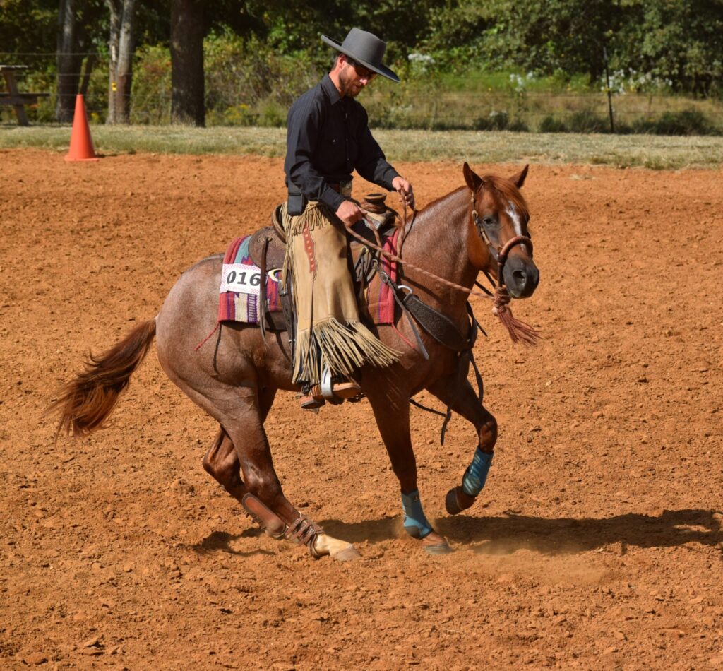 Diamond W Gunner 472 showing in the Johnson Performance Horse OkSHA green horse division.