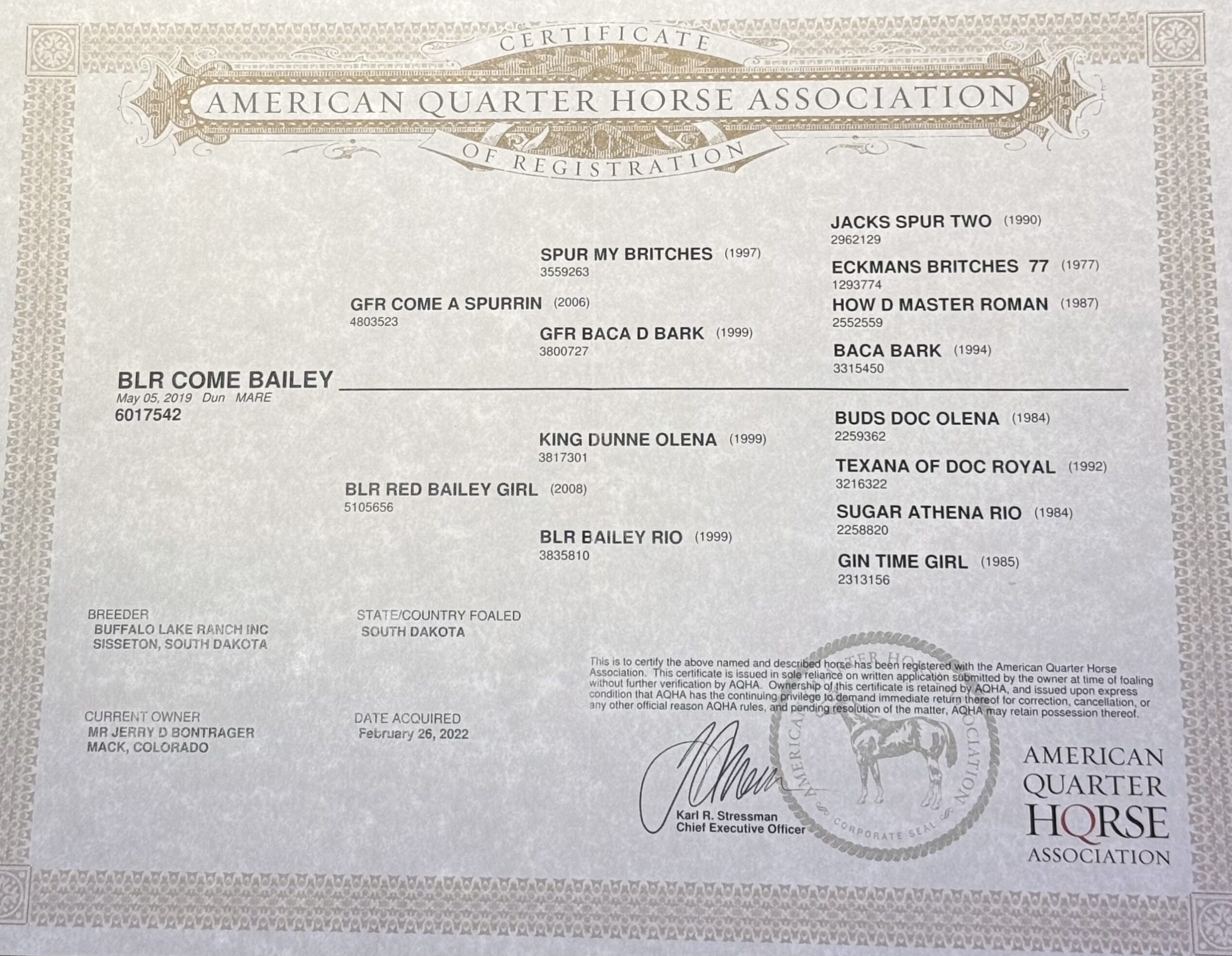 IMG 5281 Scaled E1764709000121